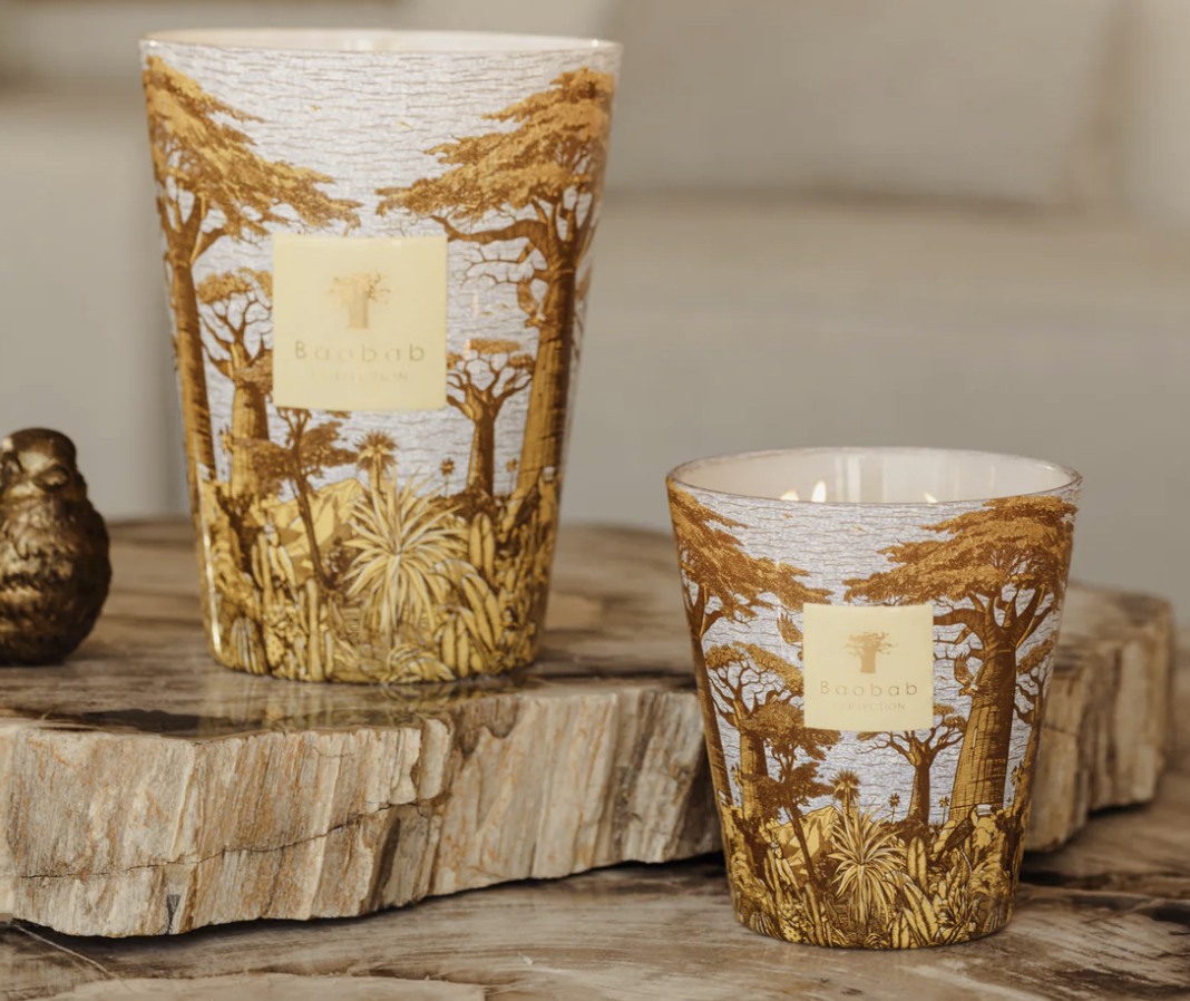 Les bougies Baobab collection : Nouvelles tendances 2025 à retrouver chez Bob Corner