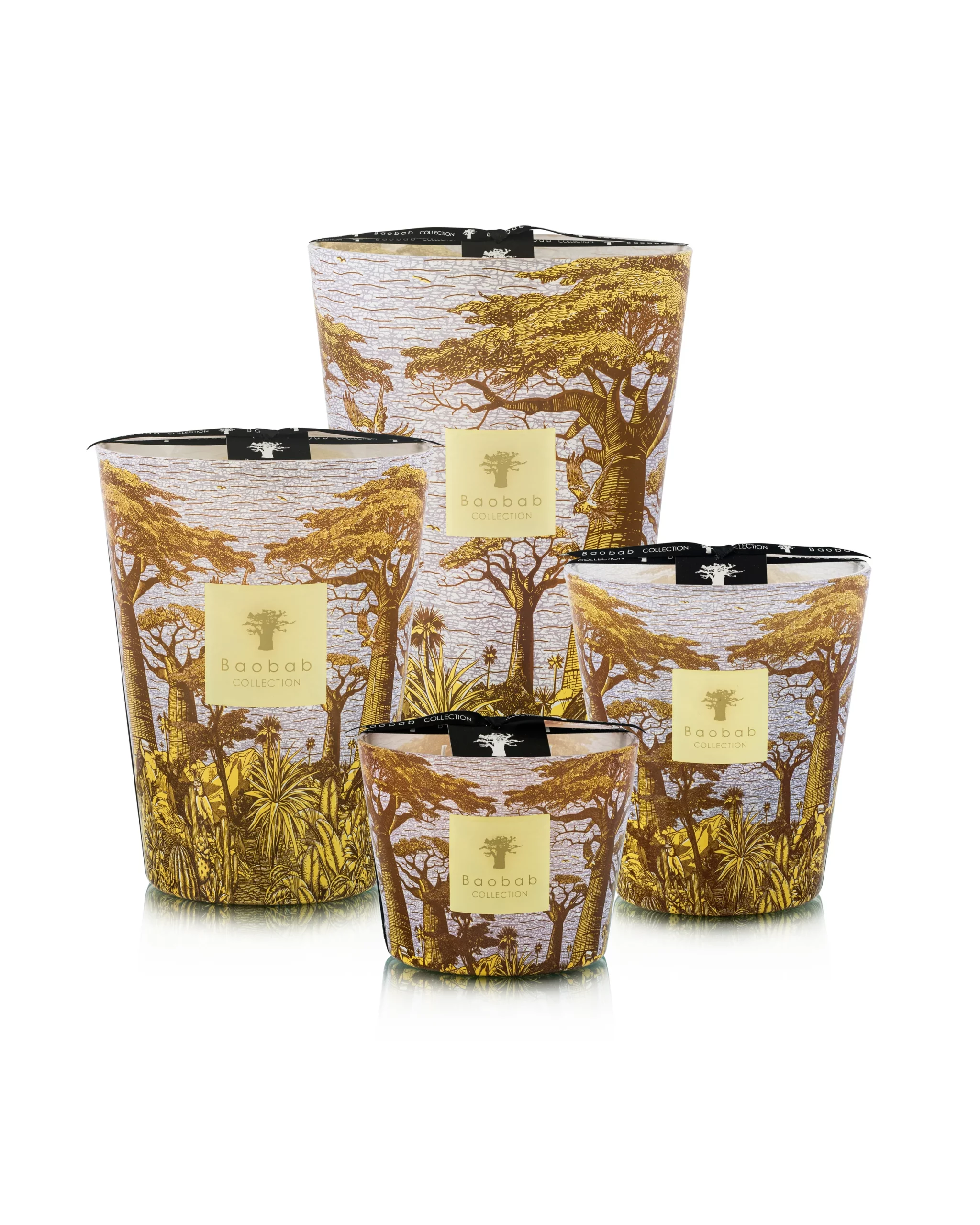 Bougie Parfumée Sacred Trees Massasso &#8211; Baobab Collection