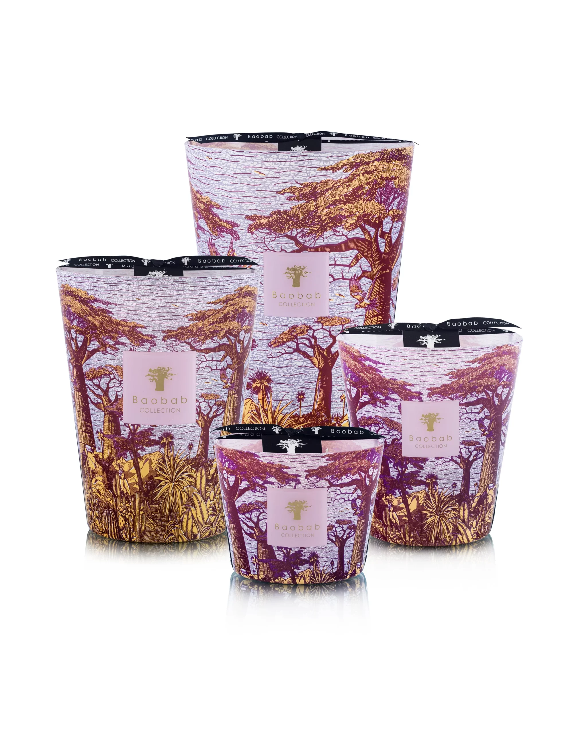 Bougie Parfumée Sacred Trees Cocody &#8211; Baobab Collection