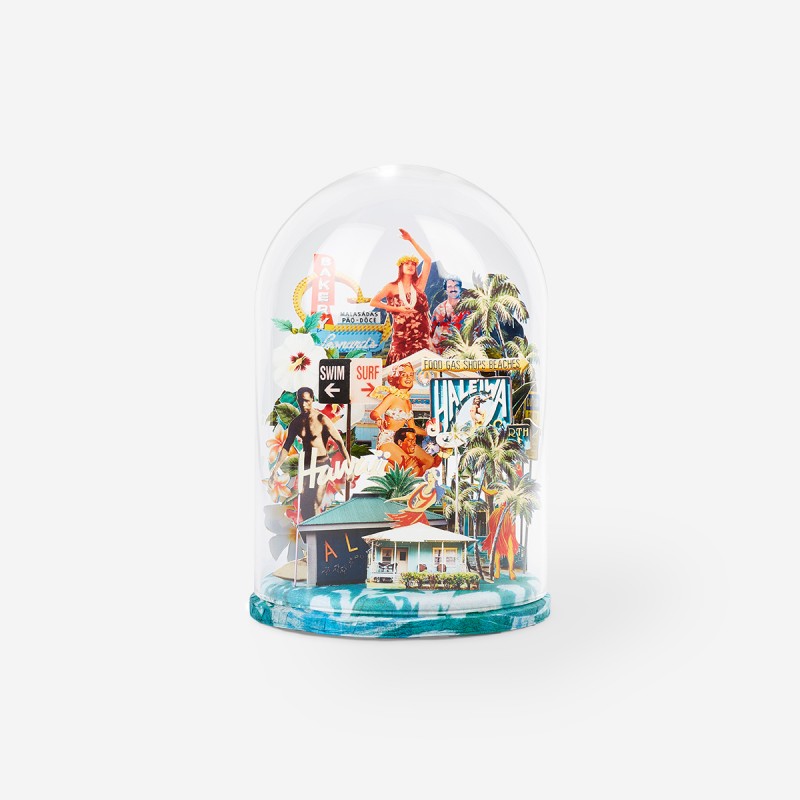 Globe Hawaii S &#8211; THE MAP