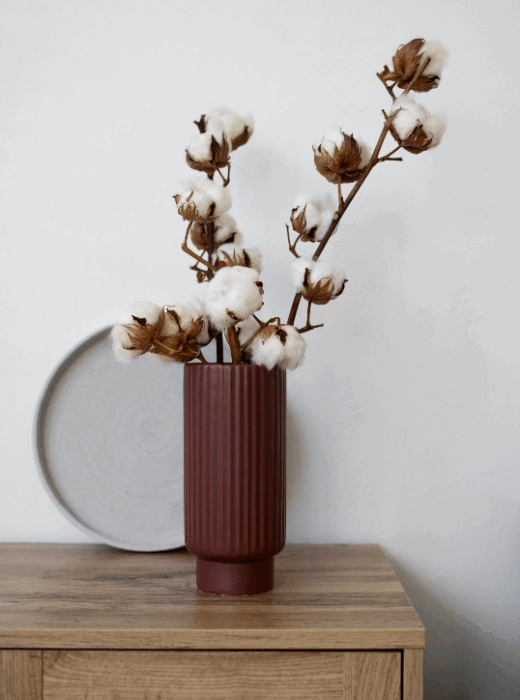 Déco &amp; Maison